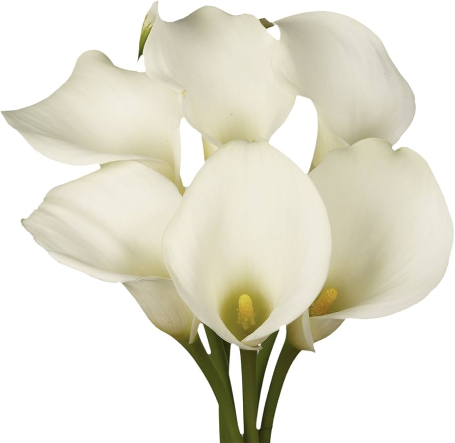 White Lilies Pack of 6