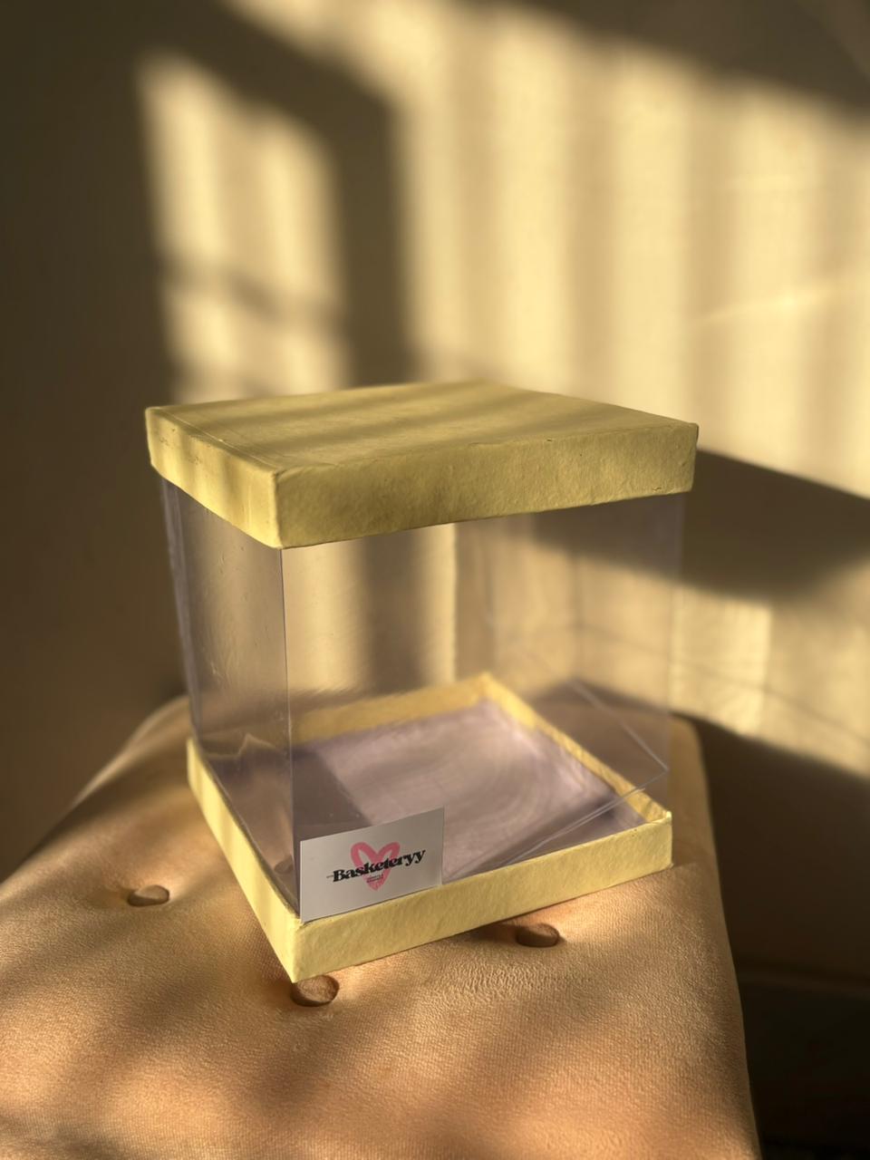 Medium transparent Container