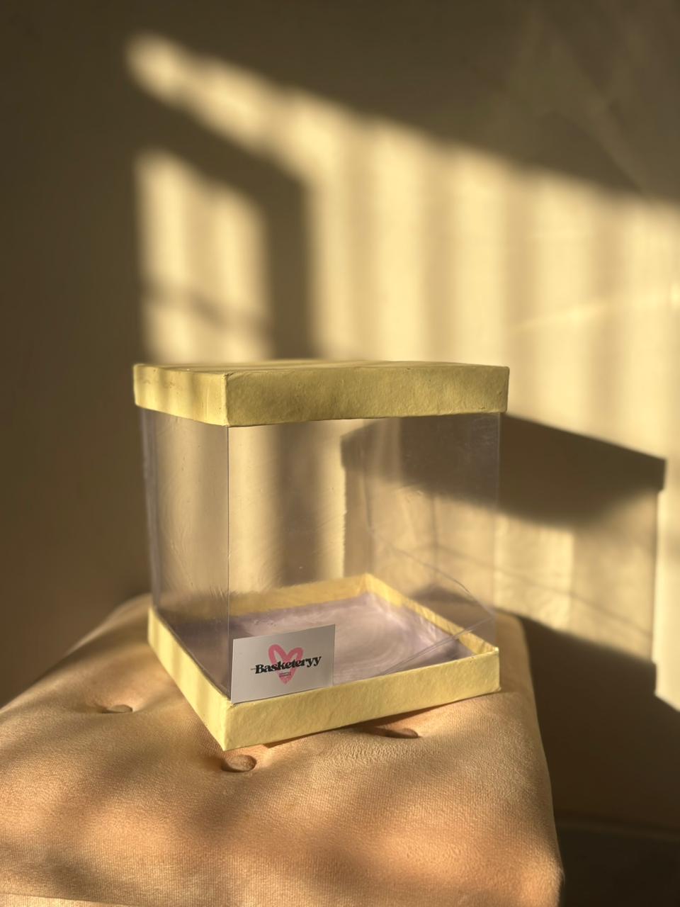 Medium transparent Container