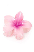 Hair Clip
