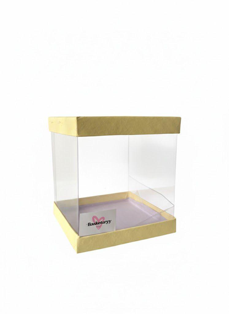 Medium transparent Container