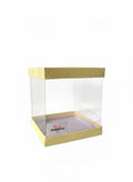 Medium transparent Container